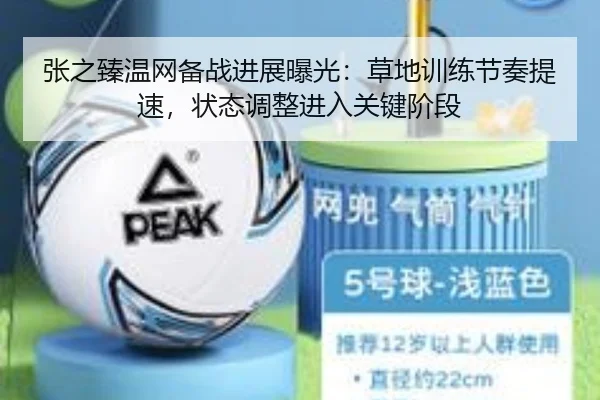 张之臻温网备战进展曝光：草地训练节奏提速，状态调整进入关键阶段 | XINGKONG SPORTS app